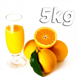 Barberina Juice Oranges 5kg