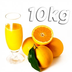 Barberina Juice Oranges 10kg