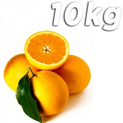 Tafelorangen Barberina 10kg