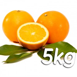 Laranja de mesa 5kg - Navel Powel