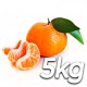 Tangerine box of 5kg