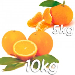 Caixa 15kg laranjas e tangerinas (10kg Navel Powel y 5kg Gold Nugget)