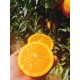 Naranja para zumo 10kg