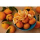 Mandarina caja de 5kg