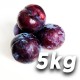 Reservar Ciruelas - Black Splendor 5kg