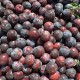 Reservar Ciruelas - Black Splendor 5kg